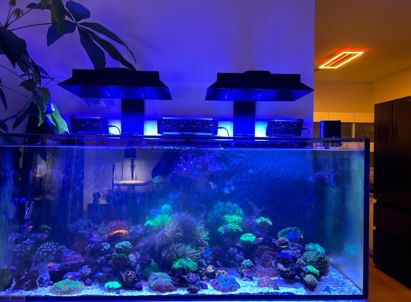 Reef Flare Pro M Lampenschirm – Blendschutz | stabile 4‑Seiten‑Halterung, weniger Streulicht