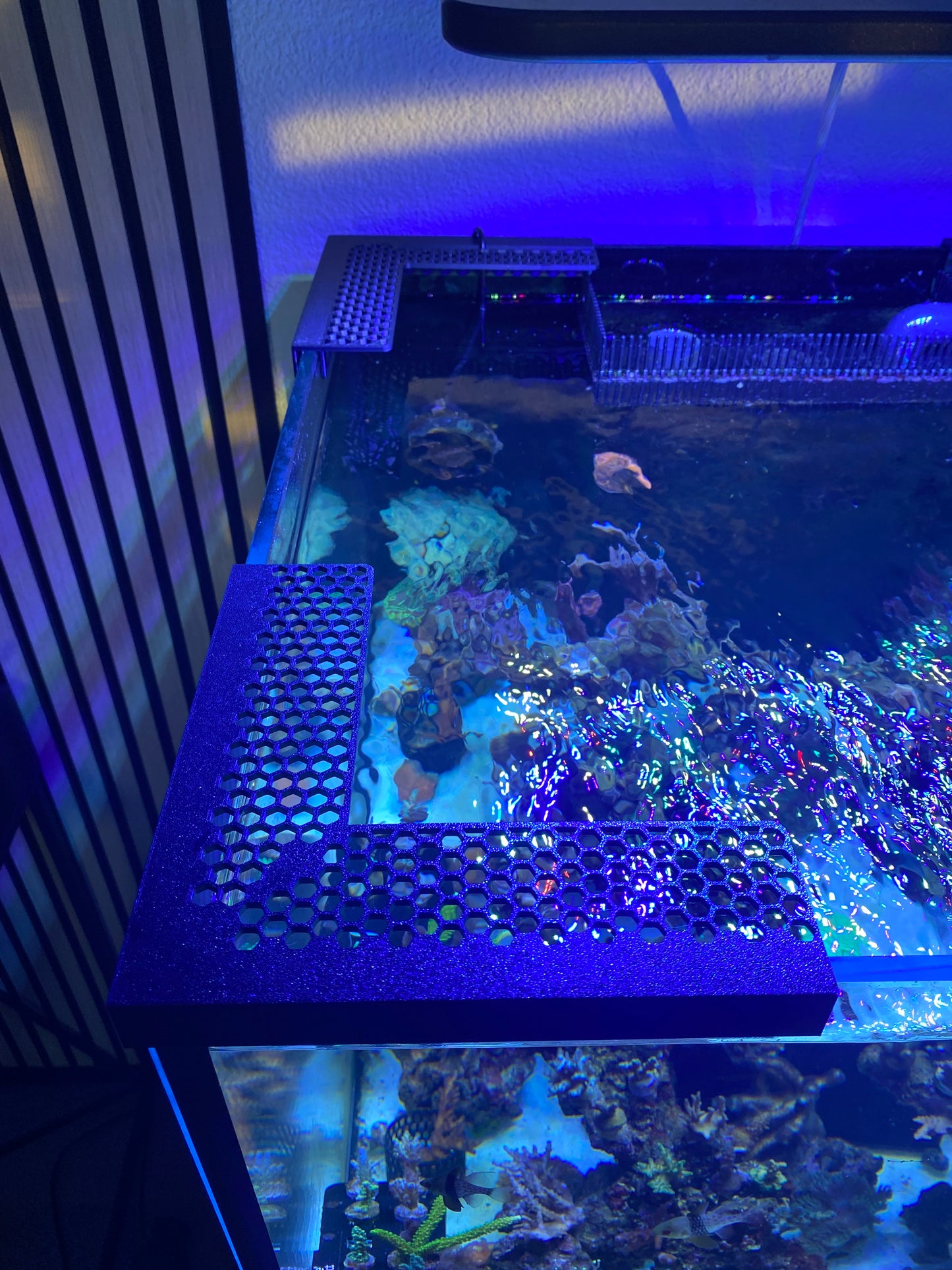 Springschutz für Aquarien – modular erweiterbar | verschiedene Glasstärken (10–16 mm)