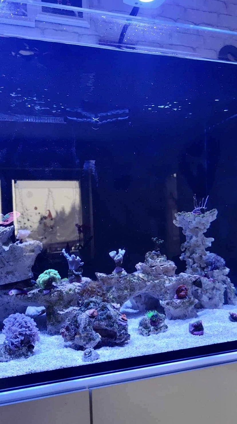 Flexibler Aquarienauslass – Random‑Flow Auslass | beweglich, 7–14 mm Düse, für DIN 20,25, 32 Red Sea / Nyos /