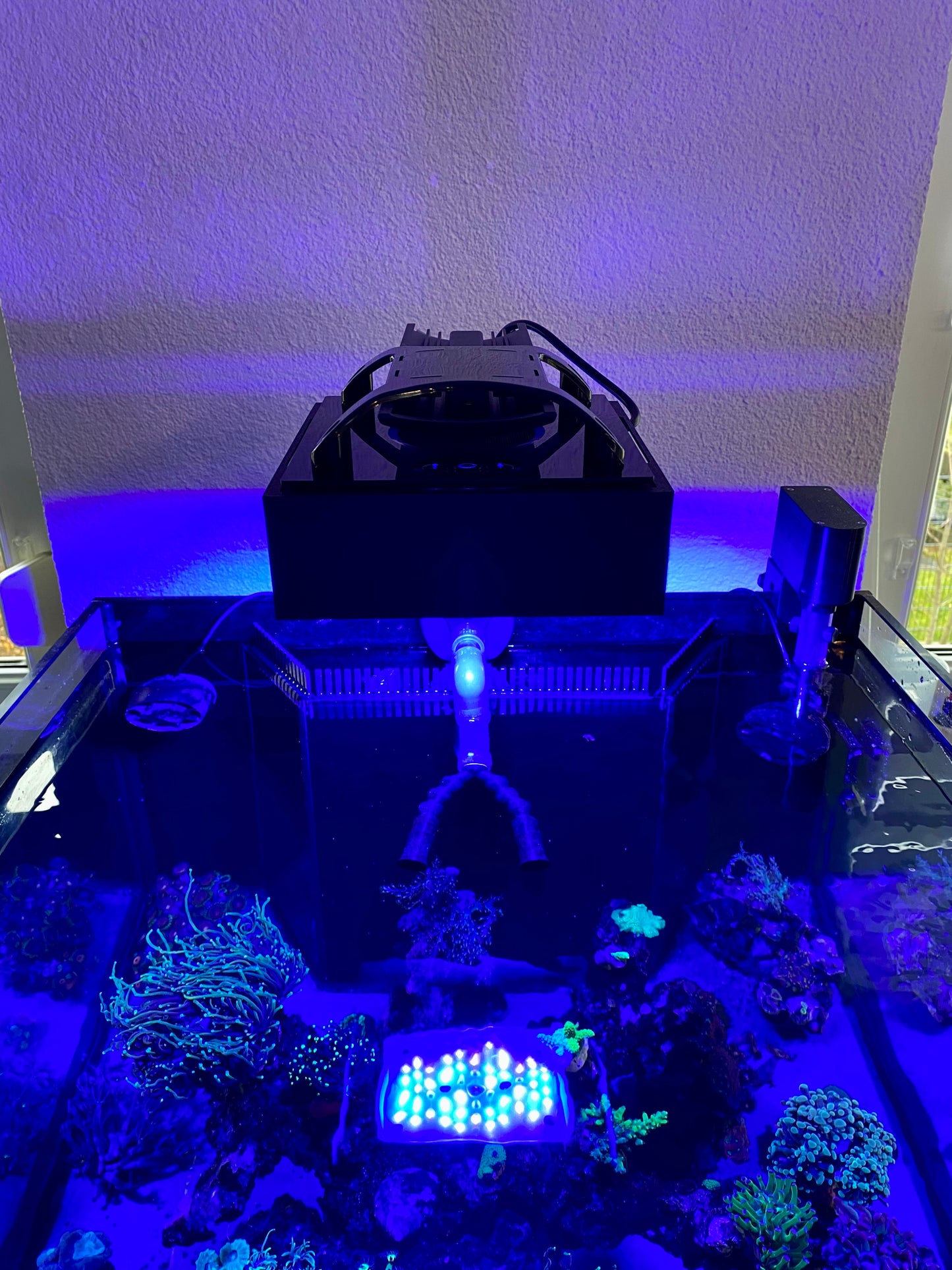 Radion XR15 G4/G5/G6 Lampenschirm – Blendschutz | saubere Optik, weniger Streulicht