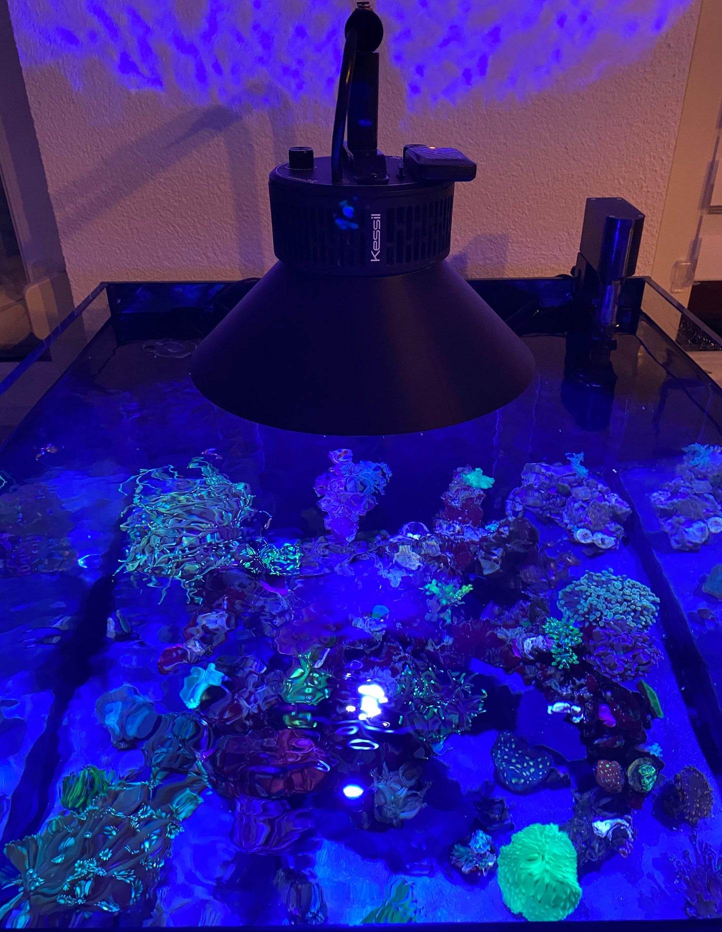 Kessil A360X LED Lampenschirm – Blendschutz | feste Montage, weniger Streulicht