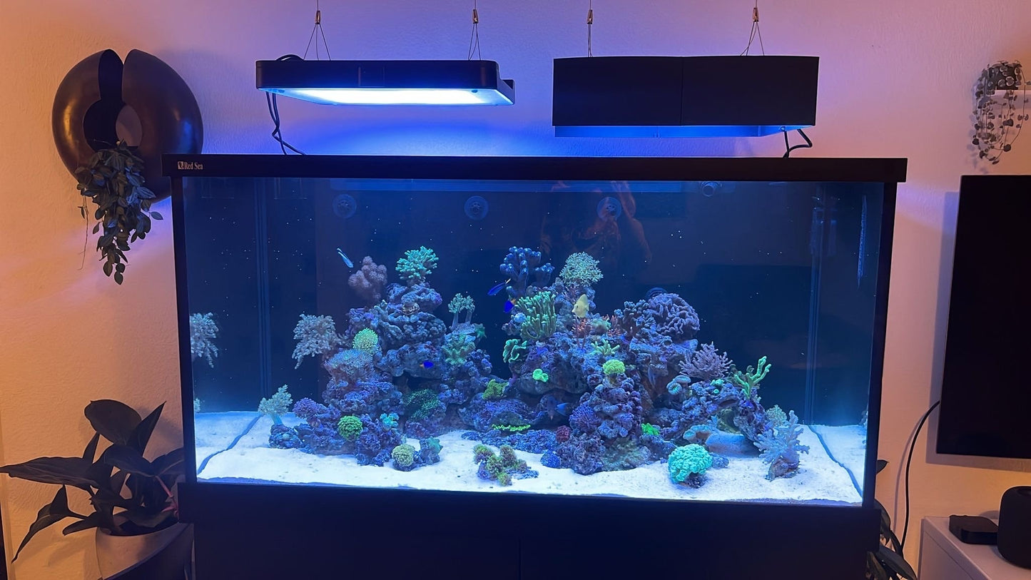 lampenschirm-philips-coralcare-light-shade-blendschutz-1