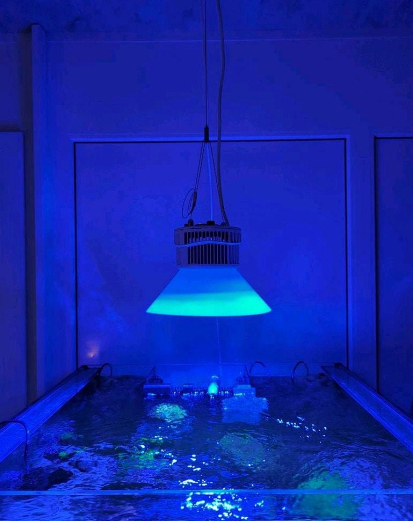 Kessil A500X Lampenschirm – Blendschutz | reduzierte Streuung, feste Montage an der Leuchte