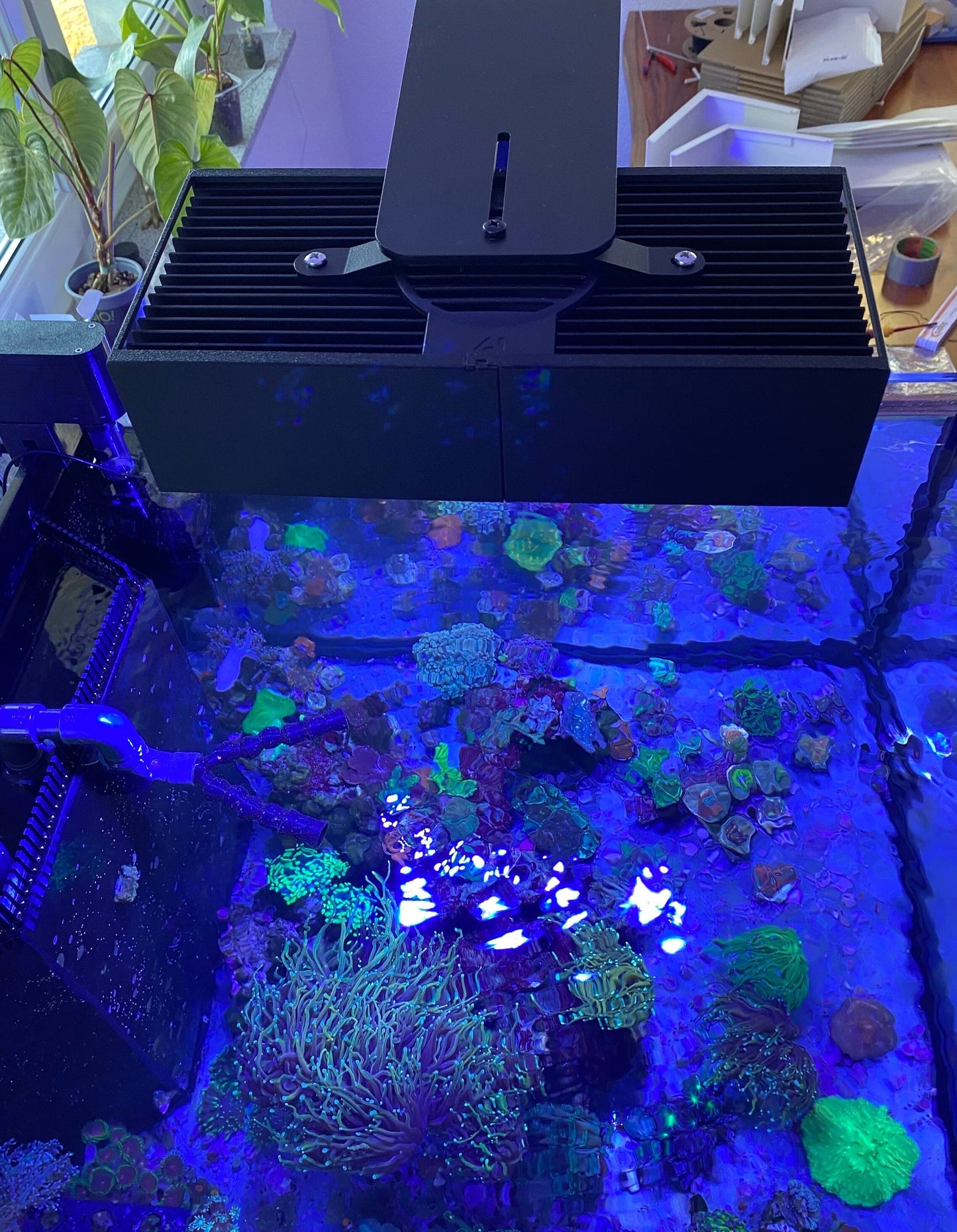 AI Hydra 64 HD Lampenschirm – Blendschutz | weniger Lichtstreuung, stabiler Halt