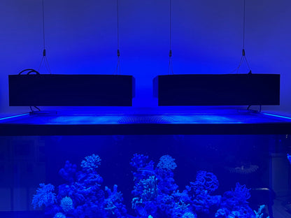 Philips Coralcare Lampenschirm