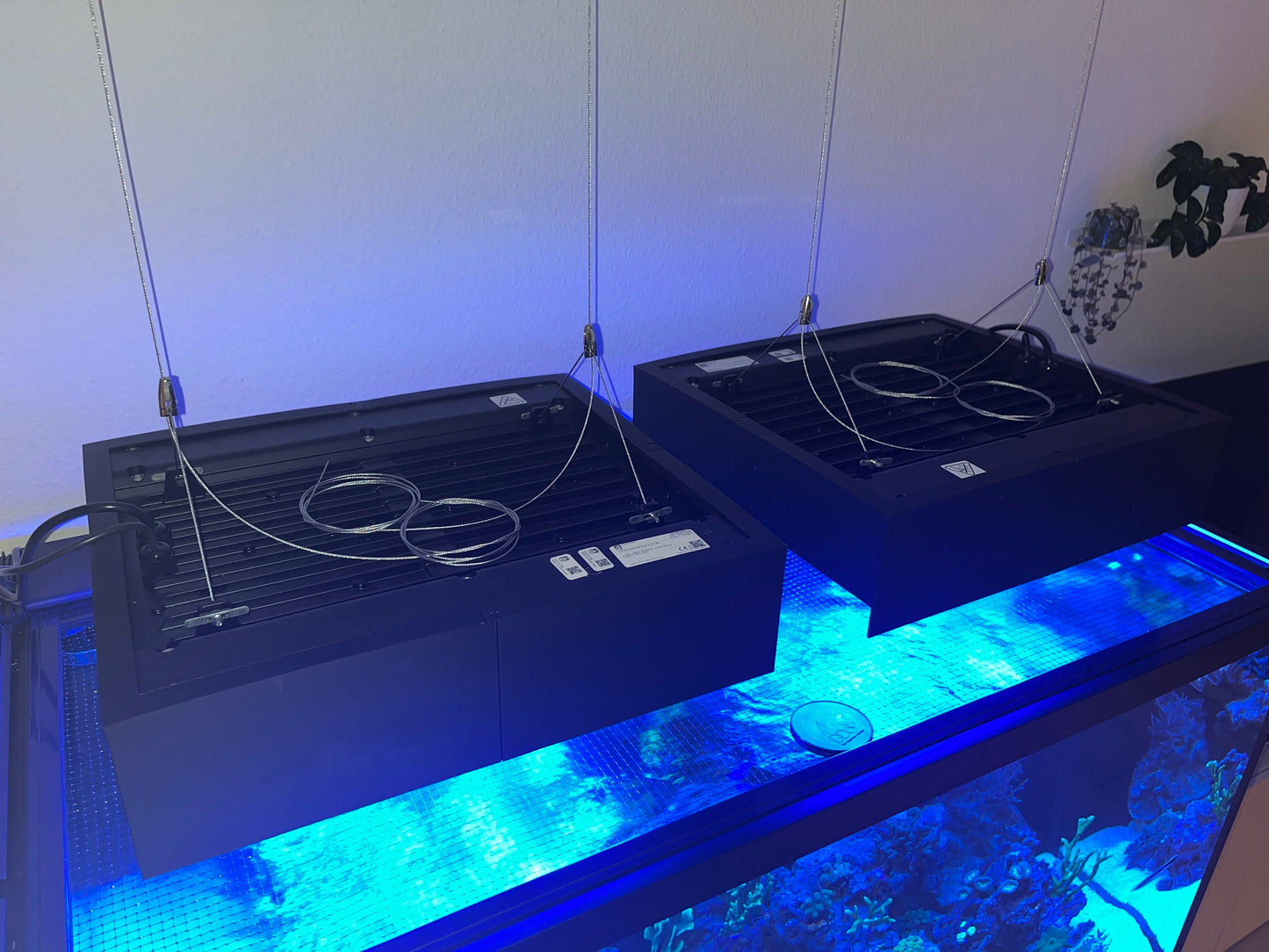 Philips Coralcare Lampenschirm