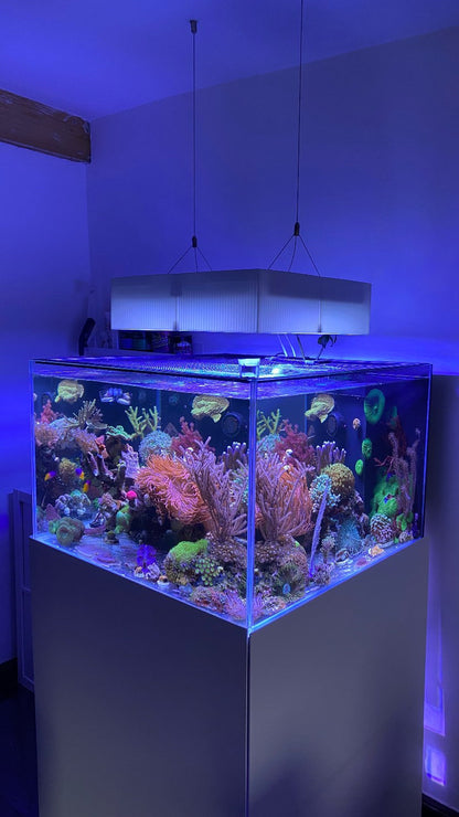 Philips Coralcare Lampenschirm